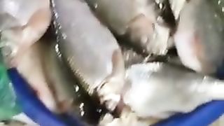 fishing 7