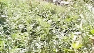 tere waaste/korang river Bhara kahu Islamabad/Pakistan#Islamabad/SohailT22vlog