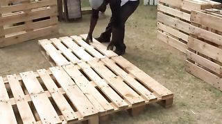 DIY Pallet bed platform! ???? Woodworking Projects videos | Diy Woodworking Techniques