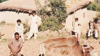 OLD Beautiful moments