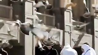 ALLAH HO AKBAR 6