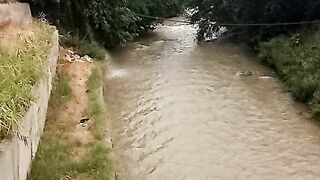 САЙ