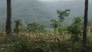 From argopuro tanggul