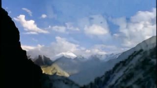 Snow Leopard - Wildlife Animals