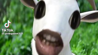 Bakra Eid????