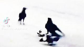 Mother save the child in any cost