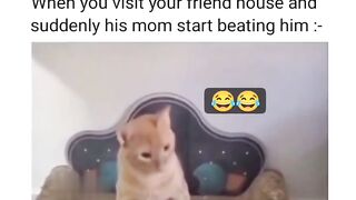 funny beating , oddly satisfying ????