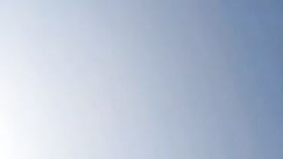 Pigeon Flying Race