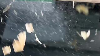 The trick idea 11