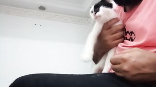 The best pet cat for happiness and relaxation
