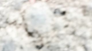Подводный съёмки 2