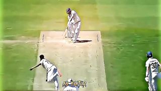 cricket tiktok video