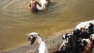 Bakra eid _ bakra videos