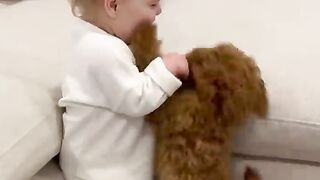Adorable puppy and baby meets first time
