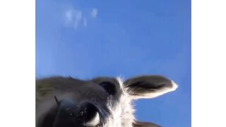 Best Friend selfie