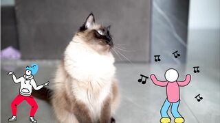 Funny Cat Dance 2