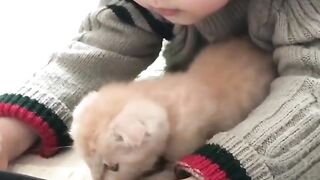 A beautiful little girl