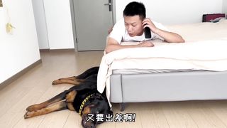其实毛孩子心里什么都知道_只是说不出来_狗狗的心思都写在脸上了 --_罗威纳护卫犬 _向威和一坨(1080P_HD).