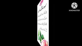 Aqwale zareen video 3