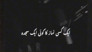 videos 51