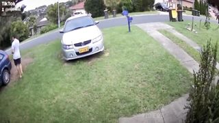 Total idiot