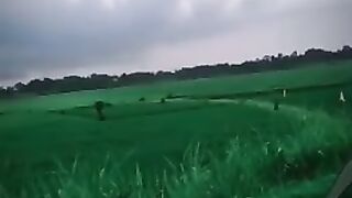 Serehari di kampung persawahan