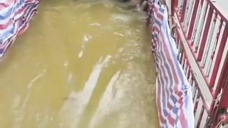 Hiburan Kolam renang berjalan