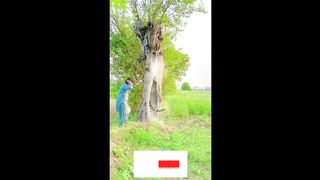 Magic tree & tiger funny video