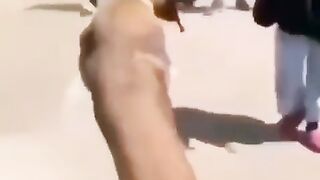 Top scariest jumpscariest