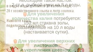 УСПЕШНА  ГРАДИНА 2