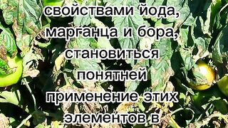 ПРОТИВ МАНАТА  ПО ДОМАТИТЕ