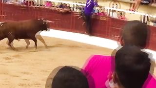 TRY NOT TO LAUGHING I Best Funny Videos Compilation 2023 # 396