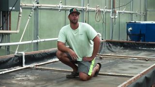 How to build a wooden Deep Water Culture Bed for Aquaponics!