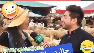 Funny video