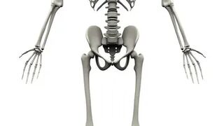 skelten dance