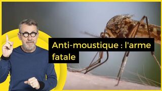 Anti-moustique : l'arme fatale - C Jamy
