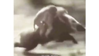 Funny video
