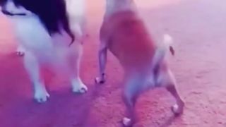 Respect video 11