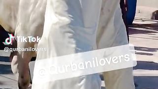 eid ul azha enjoy