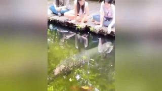 Funny Videos | Instant Regret | Fails Of The Week | Fail Compilation | Fails | RandomFails 18
