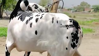 777777