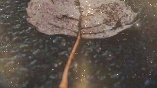 Sad video 18