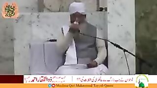 پیر ذوالفقار احمد نقشبندی 3
