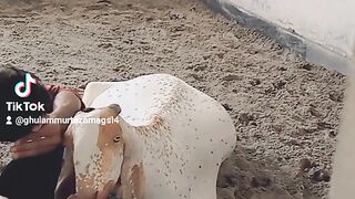 Viral videos 2