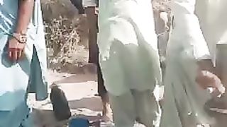???????? tractor