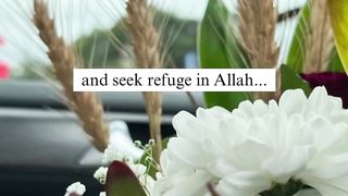 VID-20230623-WA0032.