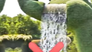 Funny videos 224