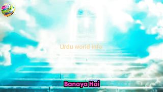 Women of Paradise | jannat ki hoor kaise hogi | Urdu Hindi
