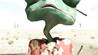 New video Animal funny