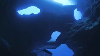Livyatan & Megalodon aimation